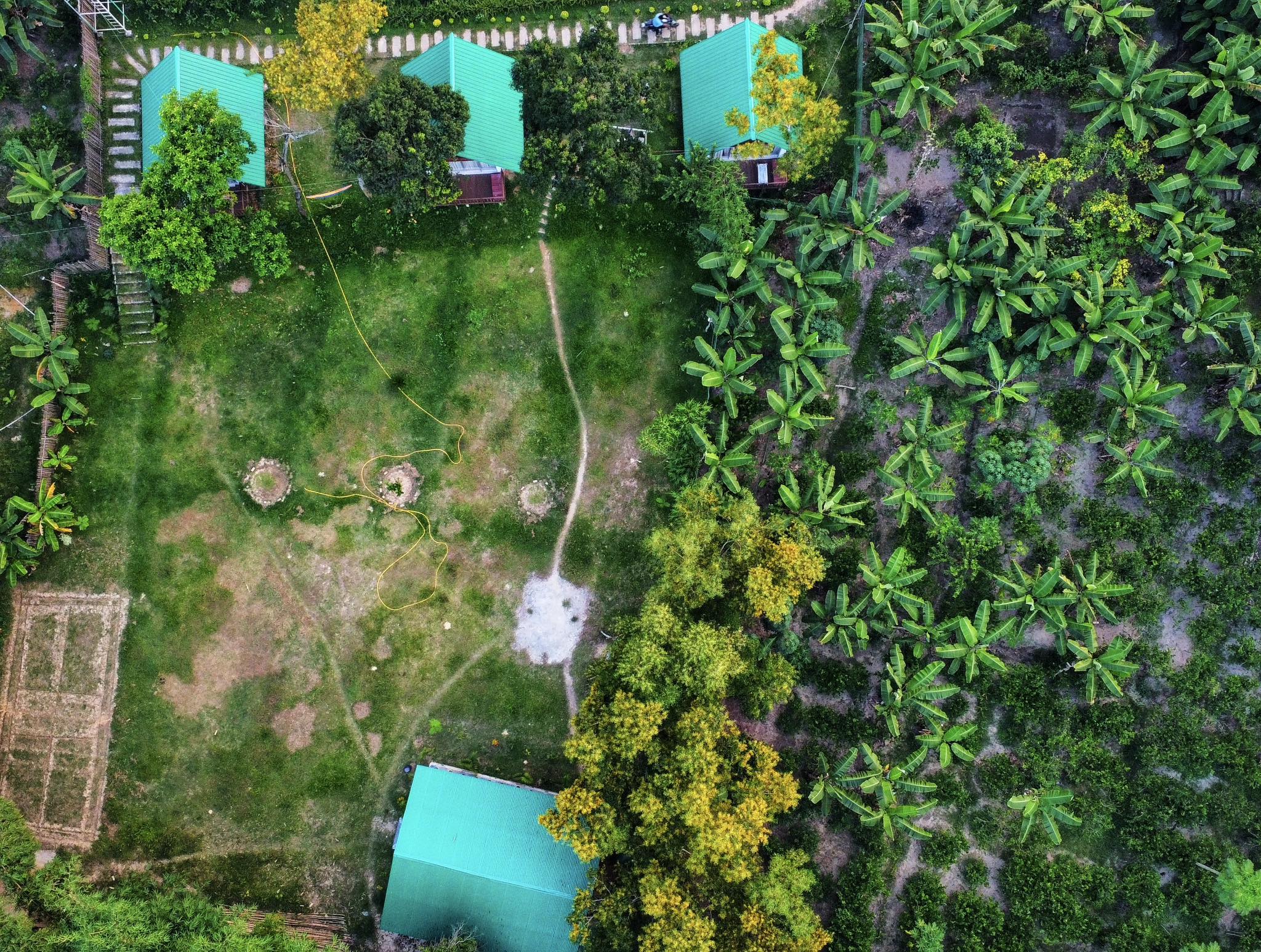 Resort surrounded by tea gardens and green hills